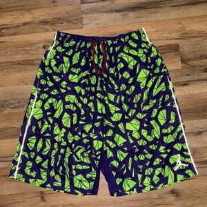 Jordan Dri-Fit Shorts